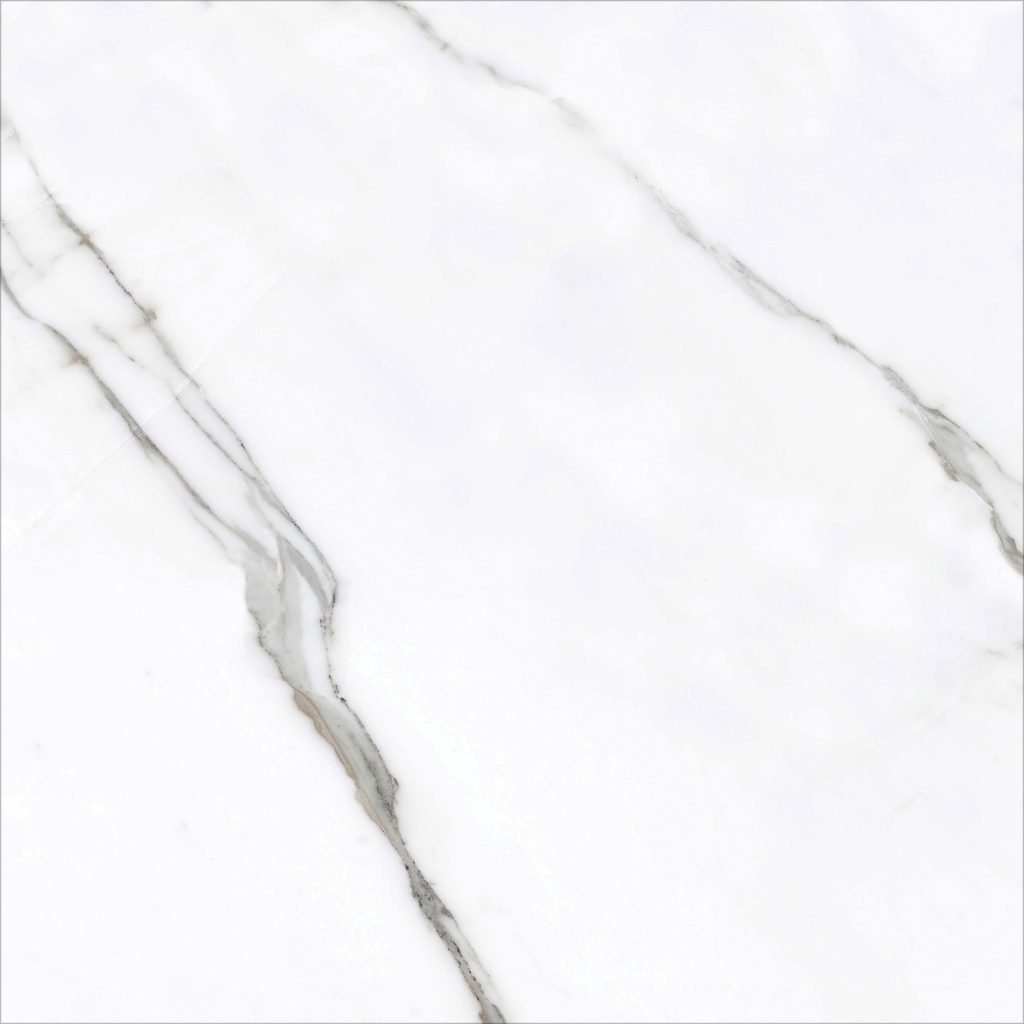 INDOGRESS 60X60 TITANIC STATUARIO